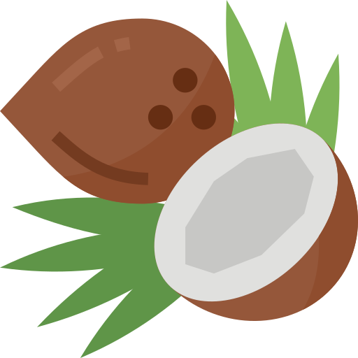 Coconut free icon