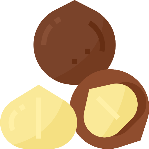 Nuez de macadamia icono gratis