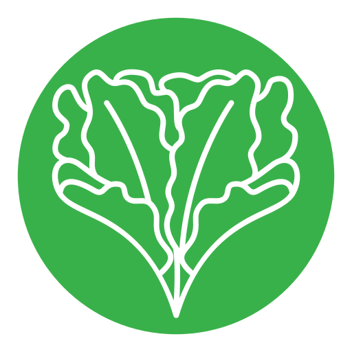 kopfsalat kostenlos Icon kopfsalat kostenlos Icon