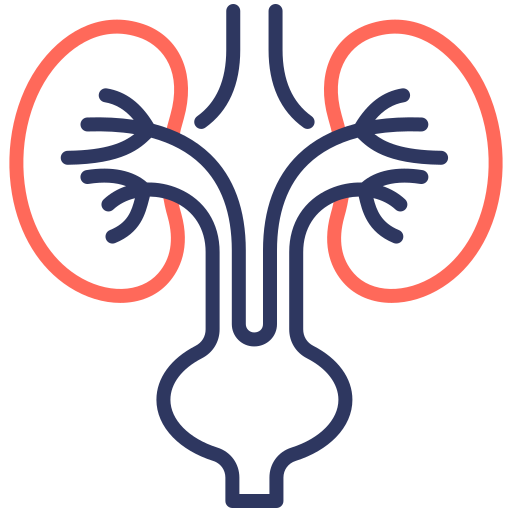 urologie Icône gratuit urologie Icône gratuit