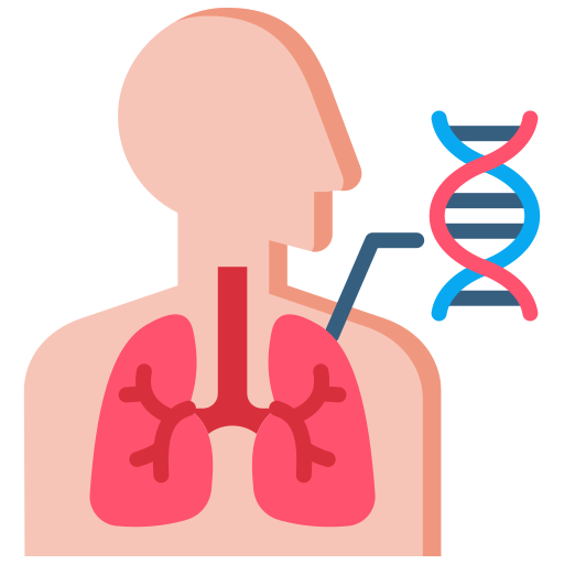 anatomía icono gratis