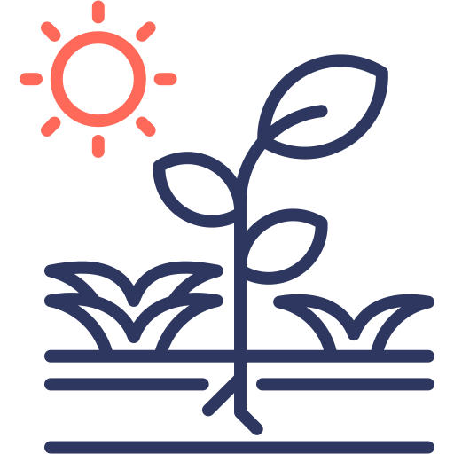 Photosynthesis free icon
