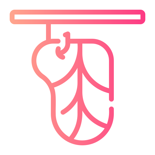 carne de sol icono gratis