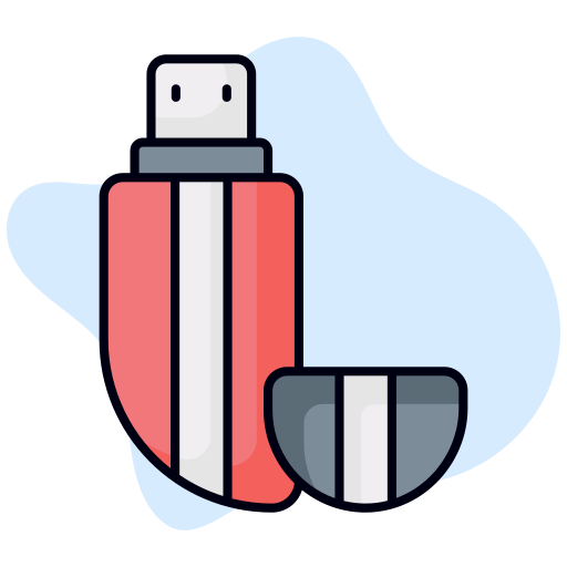 Pendrive free icon