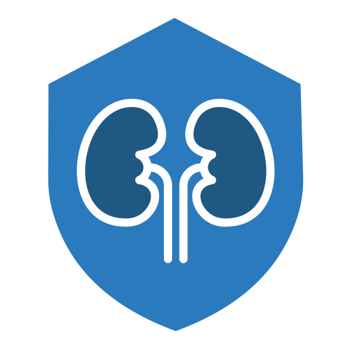 riñón icono gratis
