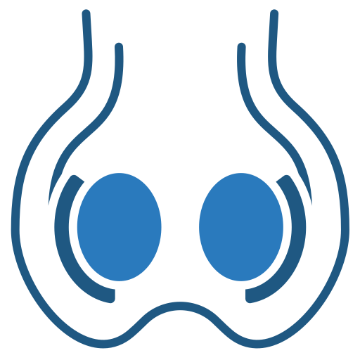 Testis free icon