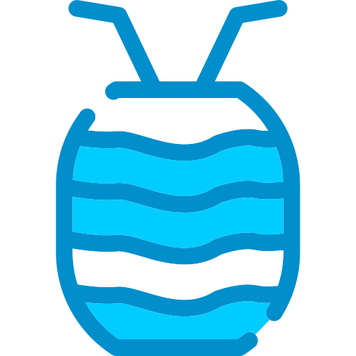 Watermelon juice free icon