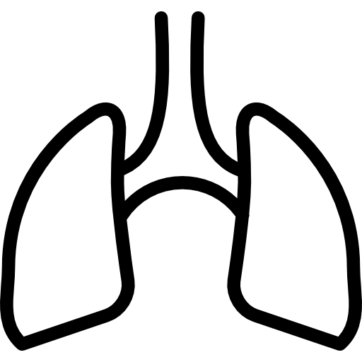 Lungs free icon