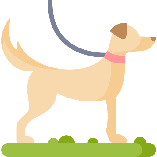 Dog Special Flat icon