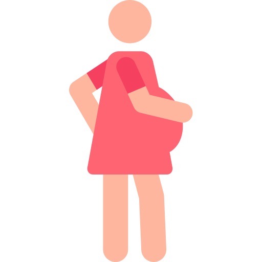 Pregnant Pictograms Colour icon