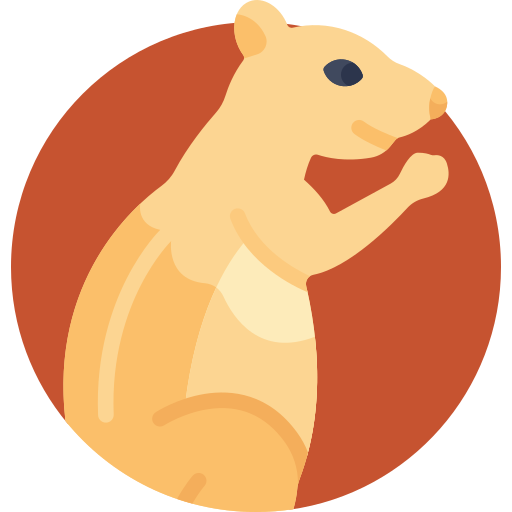 Meerkat icono gratis