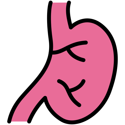 estómago icono gratis