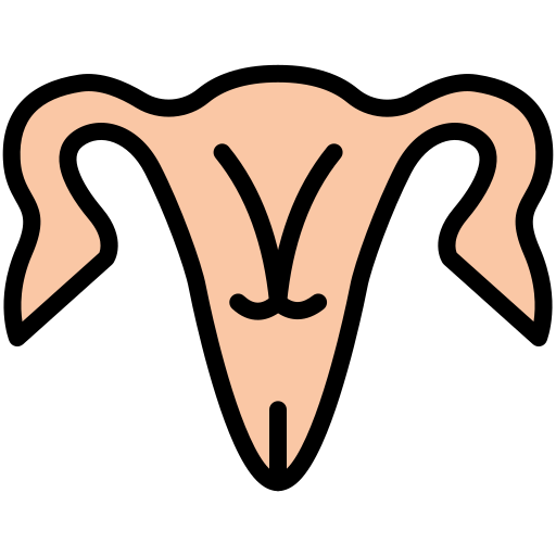 Ovaries free icon
