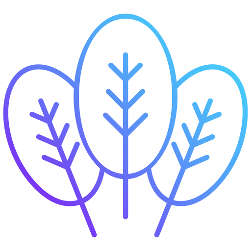 Spinach free icon