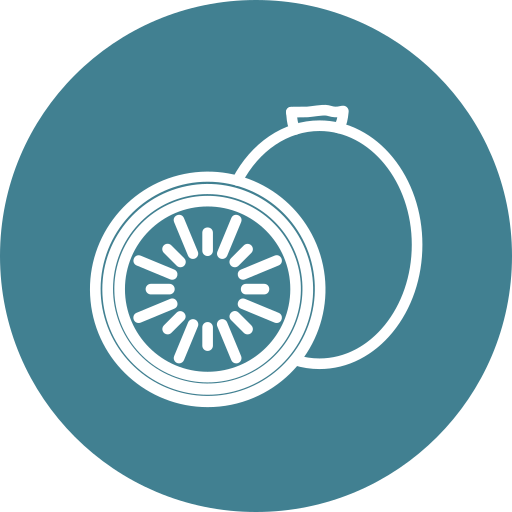Kiwi fruit free icon