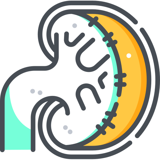 niere kostenlos Icon niere kostenlos Icon