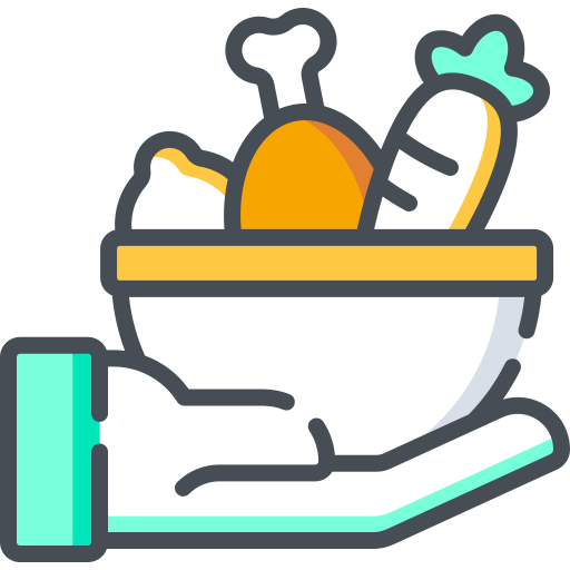 Food donation Special Bicolor icon