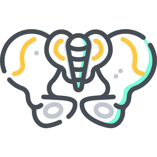 Pelvis icono gratis