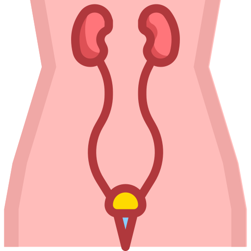 urologie Icône gratuit urologie Icône gratuit