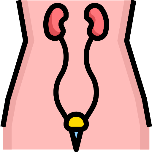 Urology free icon