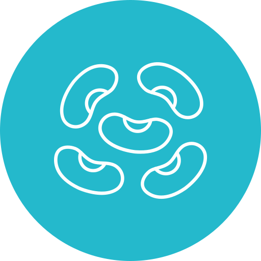 bohnen kostenlos Icon