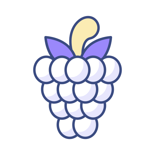 rashberry icono gratis