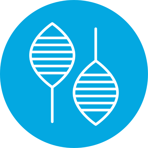 Snowshoes free icon Snowshoes free icon
