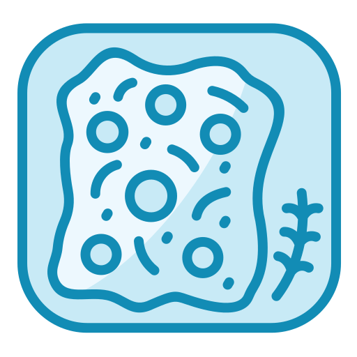 focaccia icono gratis