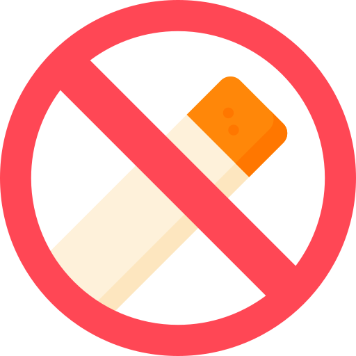 No smoking Special Flat icon