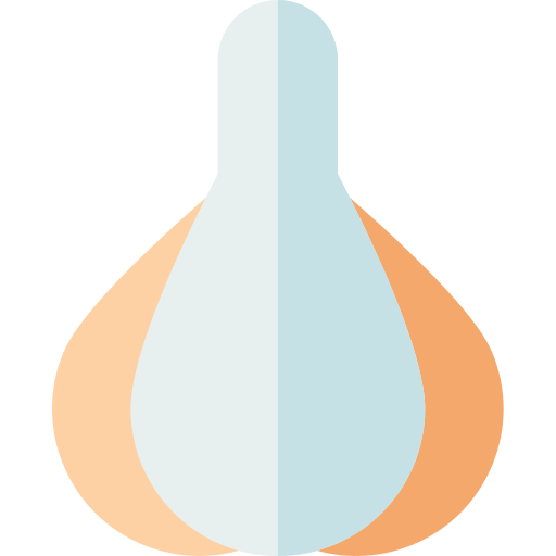 Clove garlic free icon Clove garlic free icon