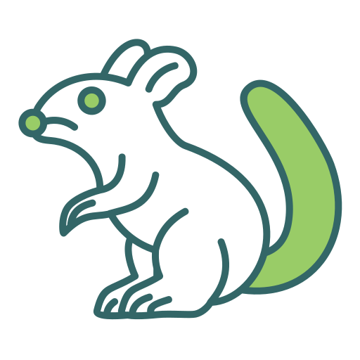 Chinchilla free icon Chinchilla free icon