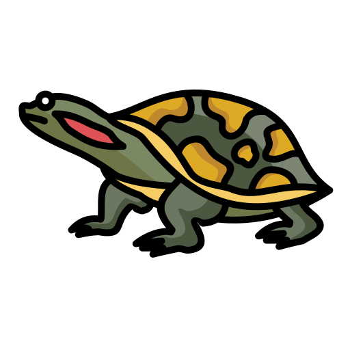 Turtle free icon Turtle free icon