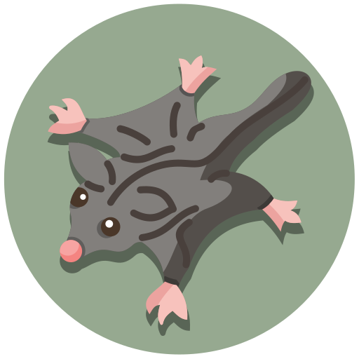 kurzkopfgleitbeutler kostenlos Icon kurzkopfgleitbeutler kostenlos Icon