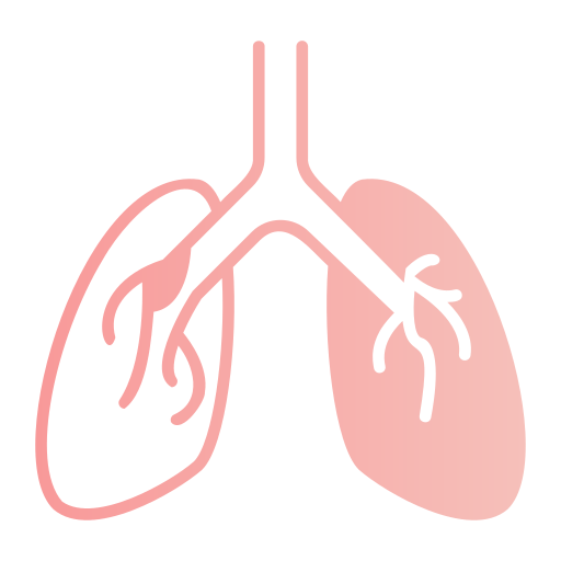 pulmones humanos icono gratis