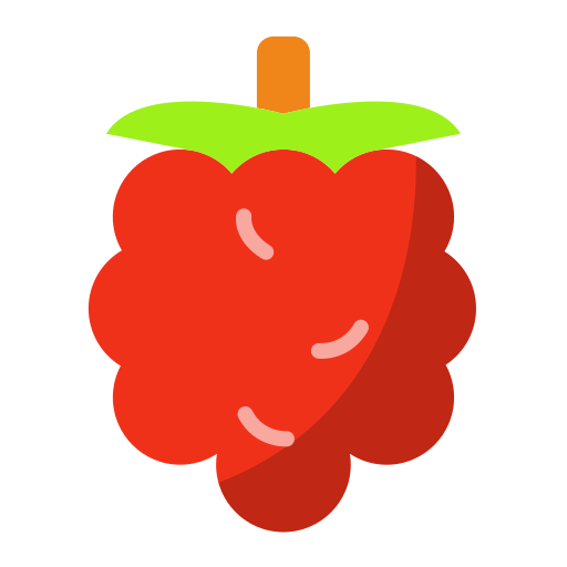 fruta de frambuesa icono gratis