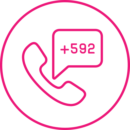 guayana icono gratis