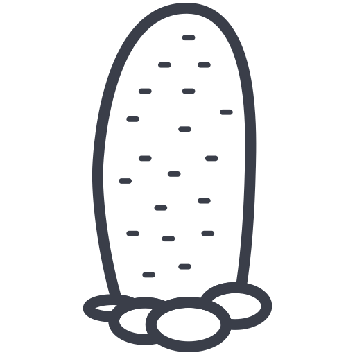 zypresse kostenlos Icon zypresse kostenlos Icon
