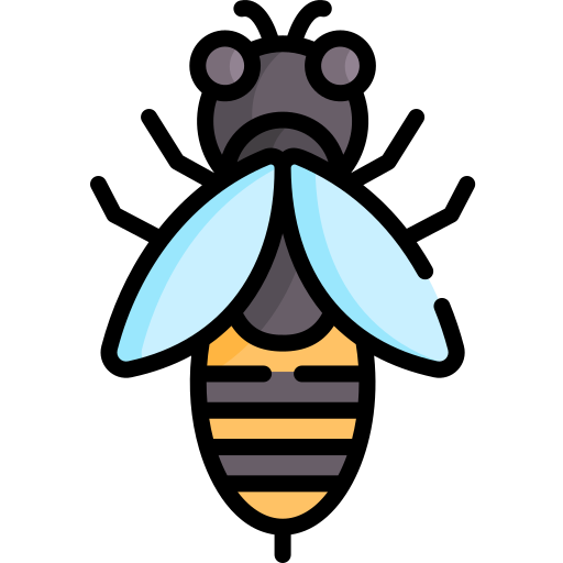 Bee Special Lineal color icon