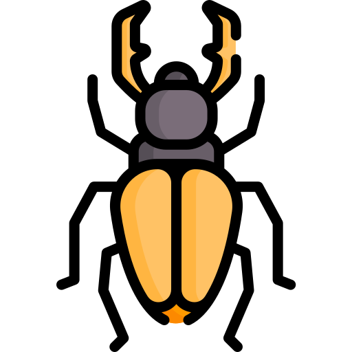 Beetle Special Lineal color icon