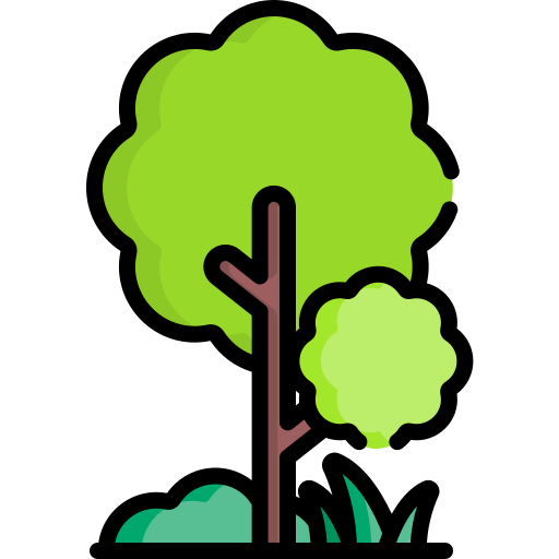 Forest free icon