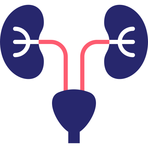 nefrología icono gratis