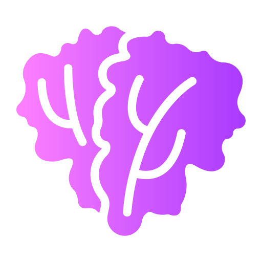 kopfsalat kostenlos Icon kopfsalat kostenlos Icon