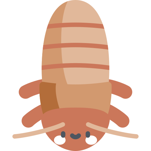 Cucaracha gigante de madagascar icono gratis