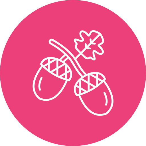 Acorn free icon