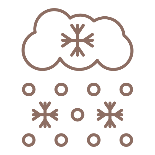 Snow free icon