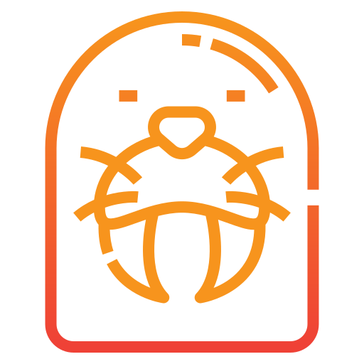 Walrus free icon