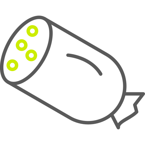 Salami free icon