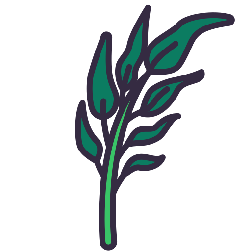 Spinach free icon Spinach free icon