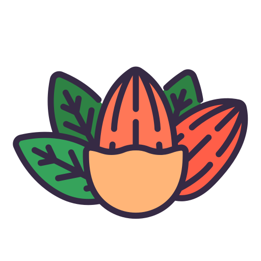 아몬드 무료 아이콘