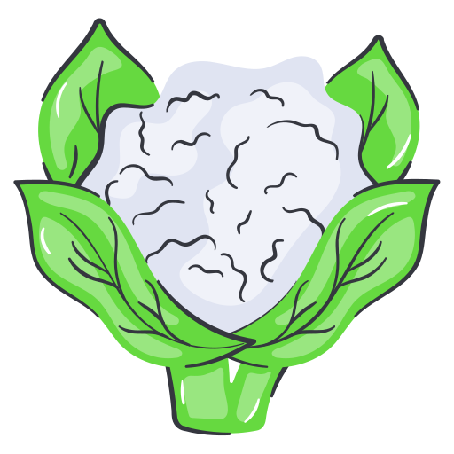 blumenkohl kostenlos Icon blumenkohl kostenlos Icon